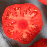 Dwarf Arctic Rose, økologiske tomatfrø