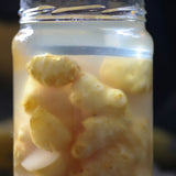 Fermenteringslodd