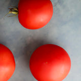 Maja, økologiske tomatfrø