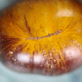 Stripes of Yore, økologiske tomatfrø